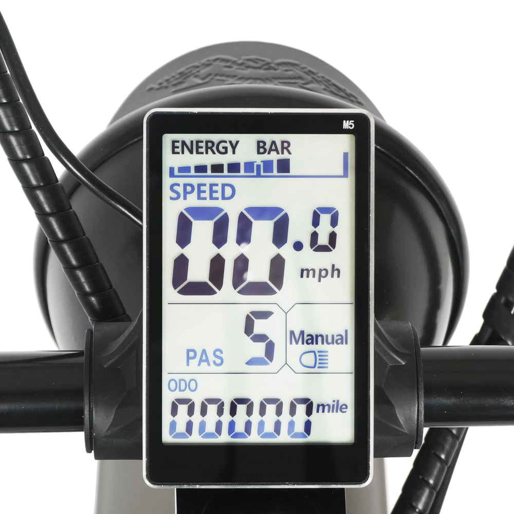 Tracer Loiter Electric Bike 26" 48V 800W Cruiser (EB-LOITER)