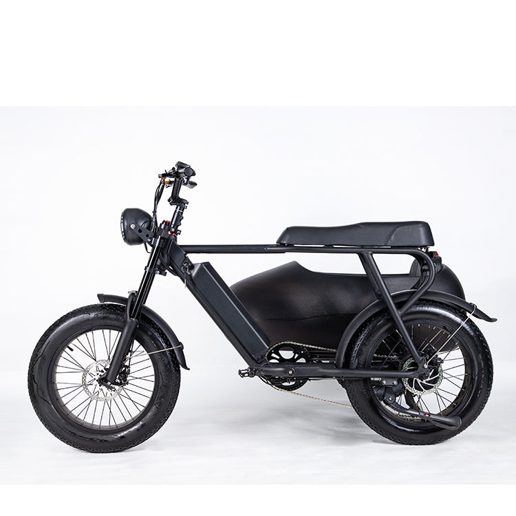Soversky TS75 750W Electric Bike with Sidecar 28MPH 35Miles - SOV-TS75