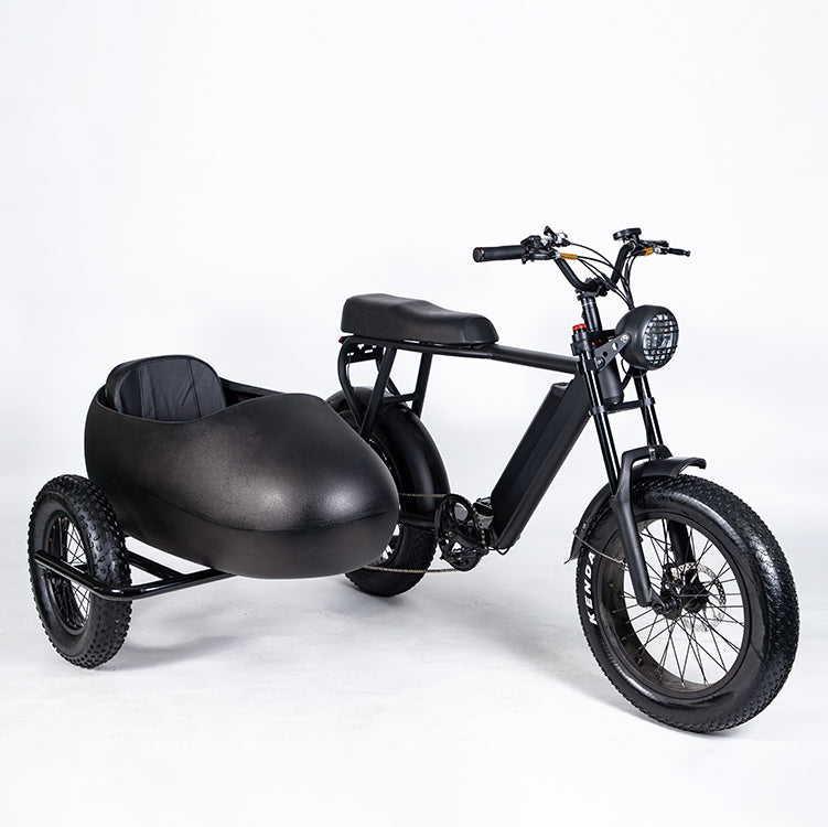 Soversky TS75 750W Electric Bike with Sidecar 28MPH 35Miles - SOV-TS75