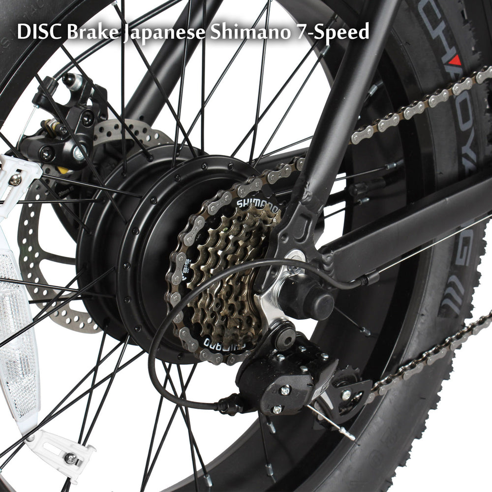 Tracer Coyote Electric Bike 20" 500W Foldable (EB-COYOTE)