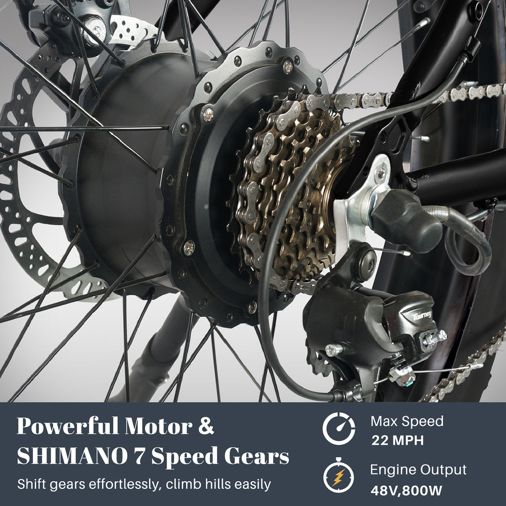 Tracer Tacoma Electric Bike 26"800W Fat Tire w/ Dual Suspensions (EB-TACOMA)